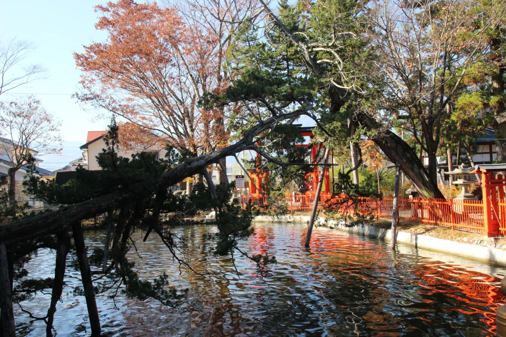 水面に張り出す松と鳥居