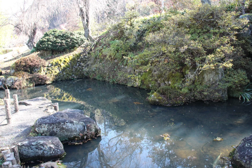 池に周囲の樹木が美しく映り込む前山寺の静かな池泉回遊式庭園