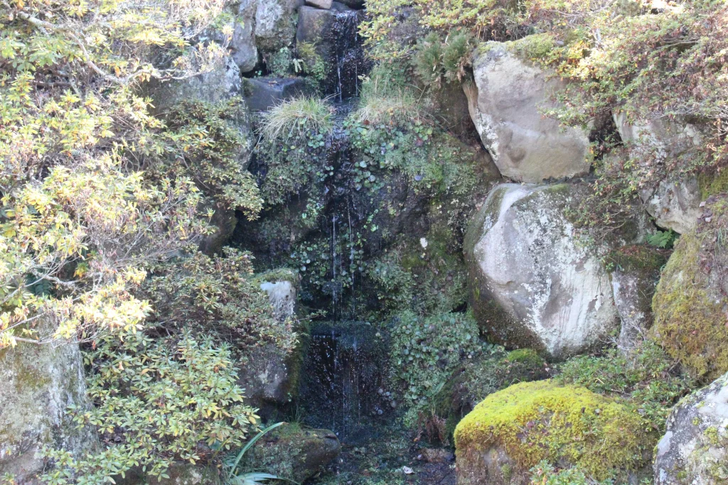 苔むした石垣の間から涼やかに水が流れ落ちる庭園の滝口