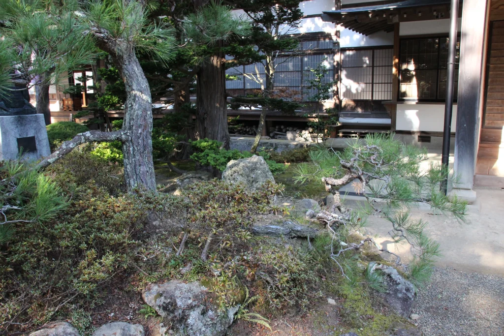 手入れされた見事な松の木と石灯籠が並ぶ前山寺本堂前の和風庭園