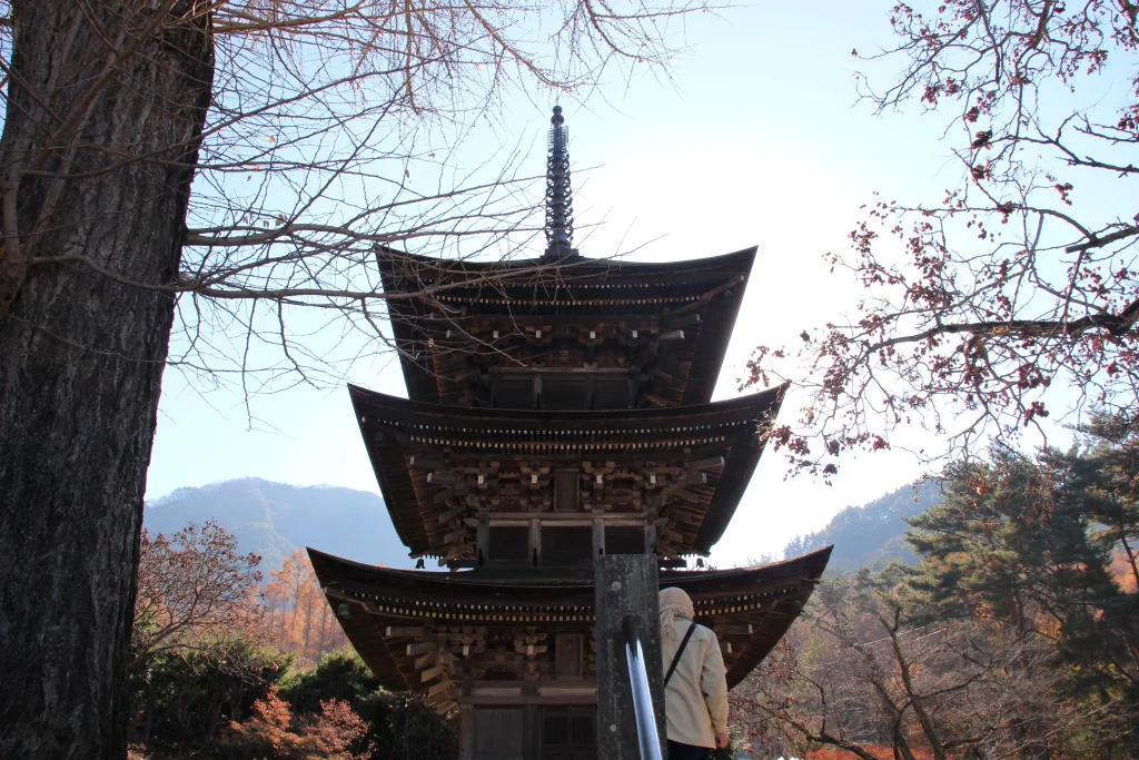 石段と周囲の木々の合間から見上げる重要文化財・前山寺三重塔