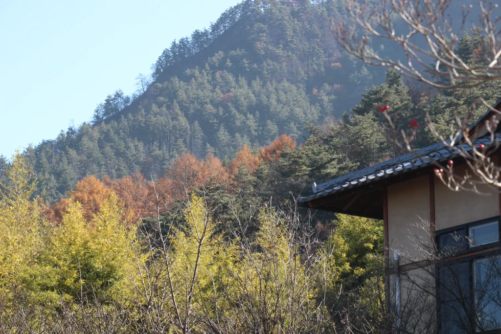 秋の彩りをまとった独鈷山の山肌と美しい針葉樹の針葉