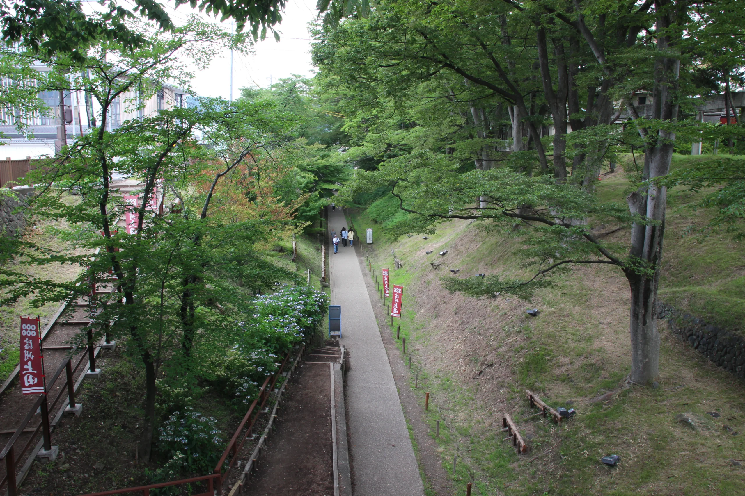 二の丸の堀跡に整備された上田城けやき並木遊歩道を上から見下ろしたパノラマ景観