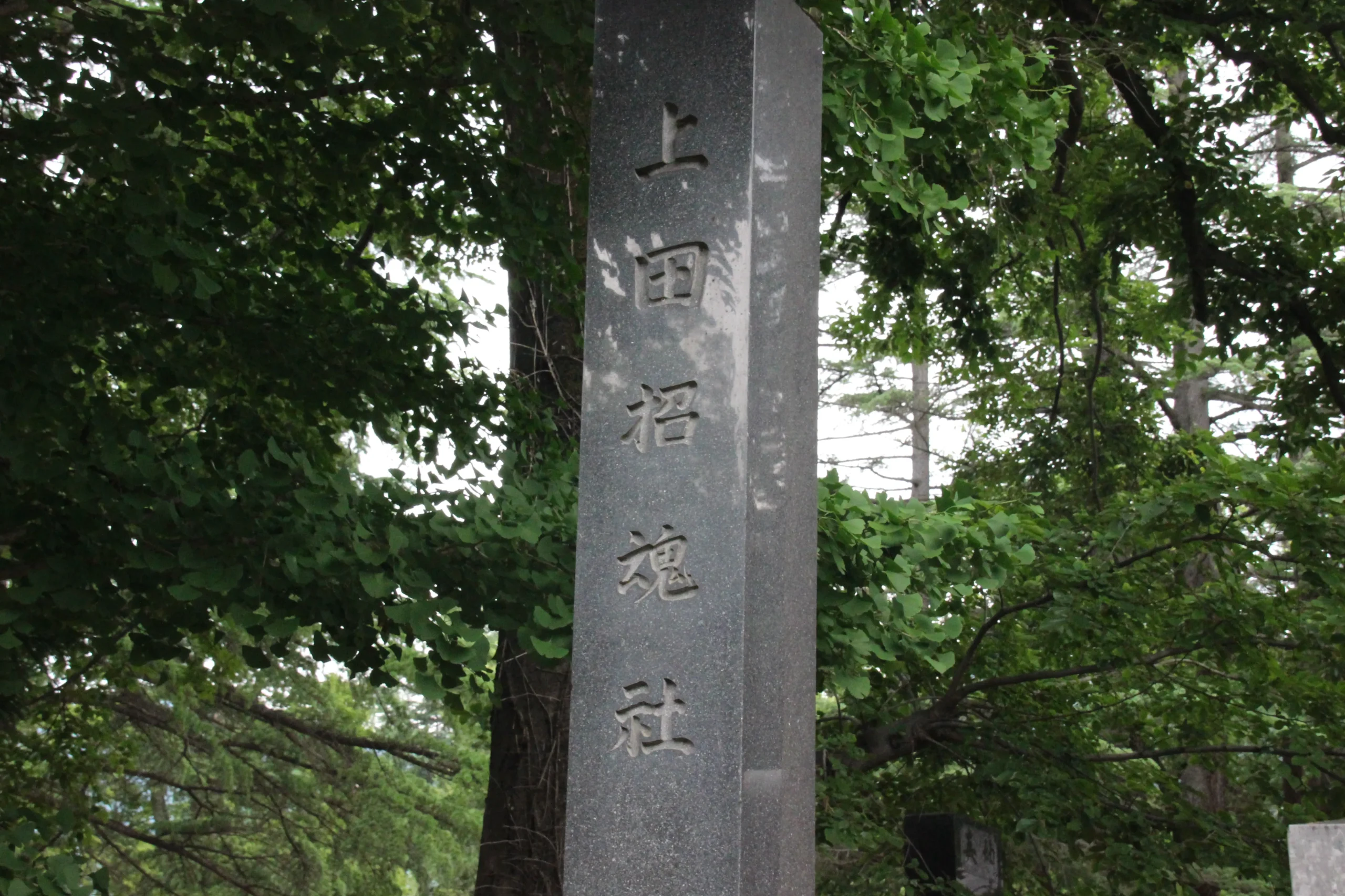 上田城跡公園内に建つ上田招魂社の石碑と新緑の木々