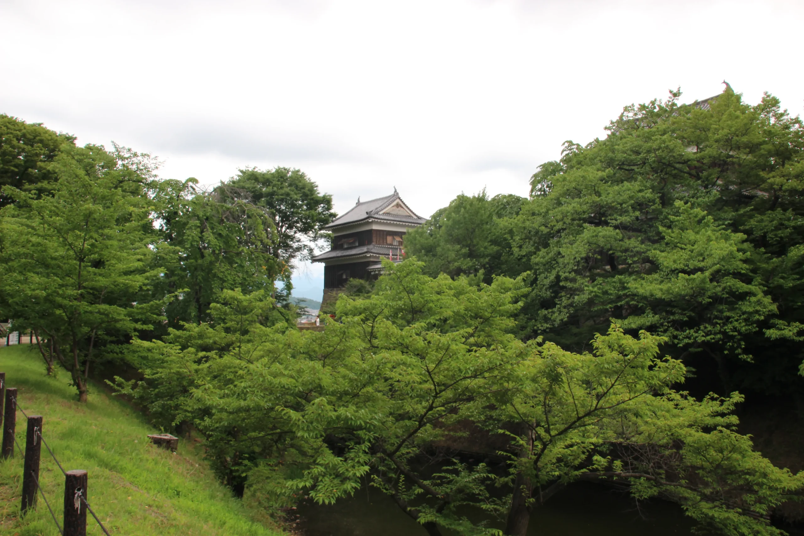 二の丸跡から緑豊かな土塁越しに望む上田城西櫓の遠景