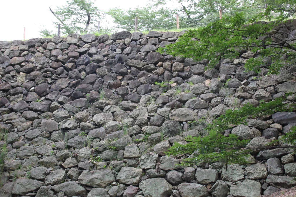 長い歴史を耐え抜いた風合いを持つ上田城本丸西側の大きな野面積み石垣