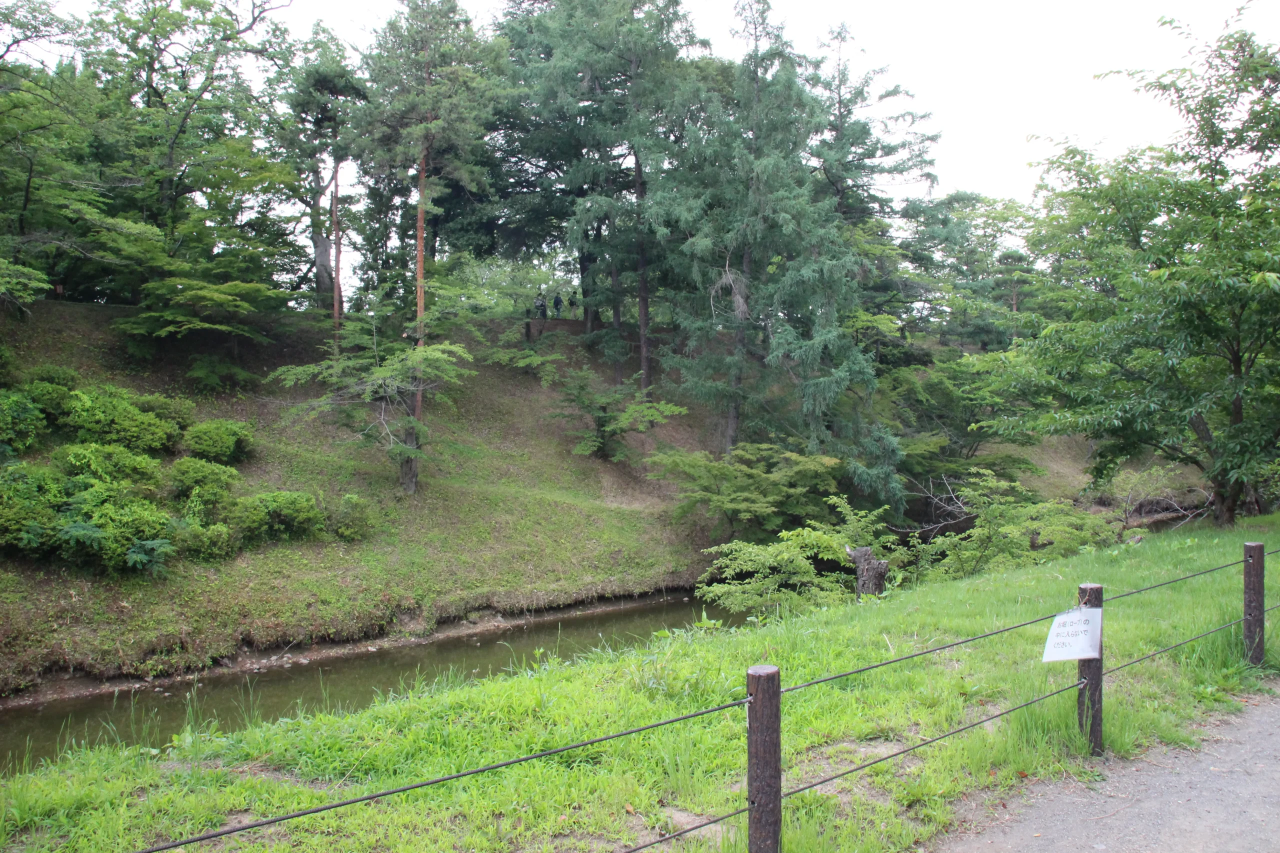 本丸堀に沿って整備された遊歩道とロープ柵、生い茂る木々の新緑