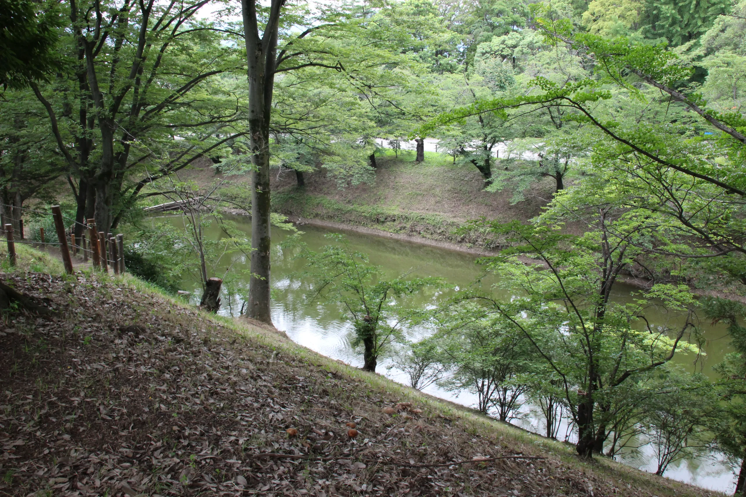 生い茂る樹木の木陰から望む上田城本丸堀の静かな水面