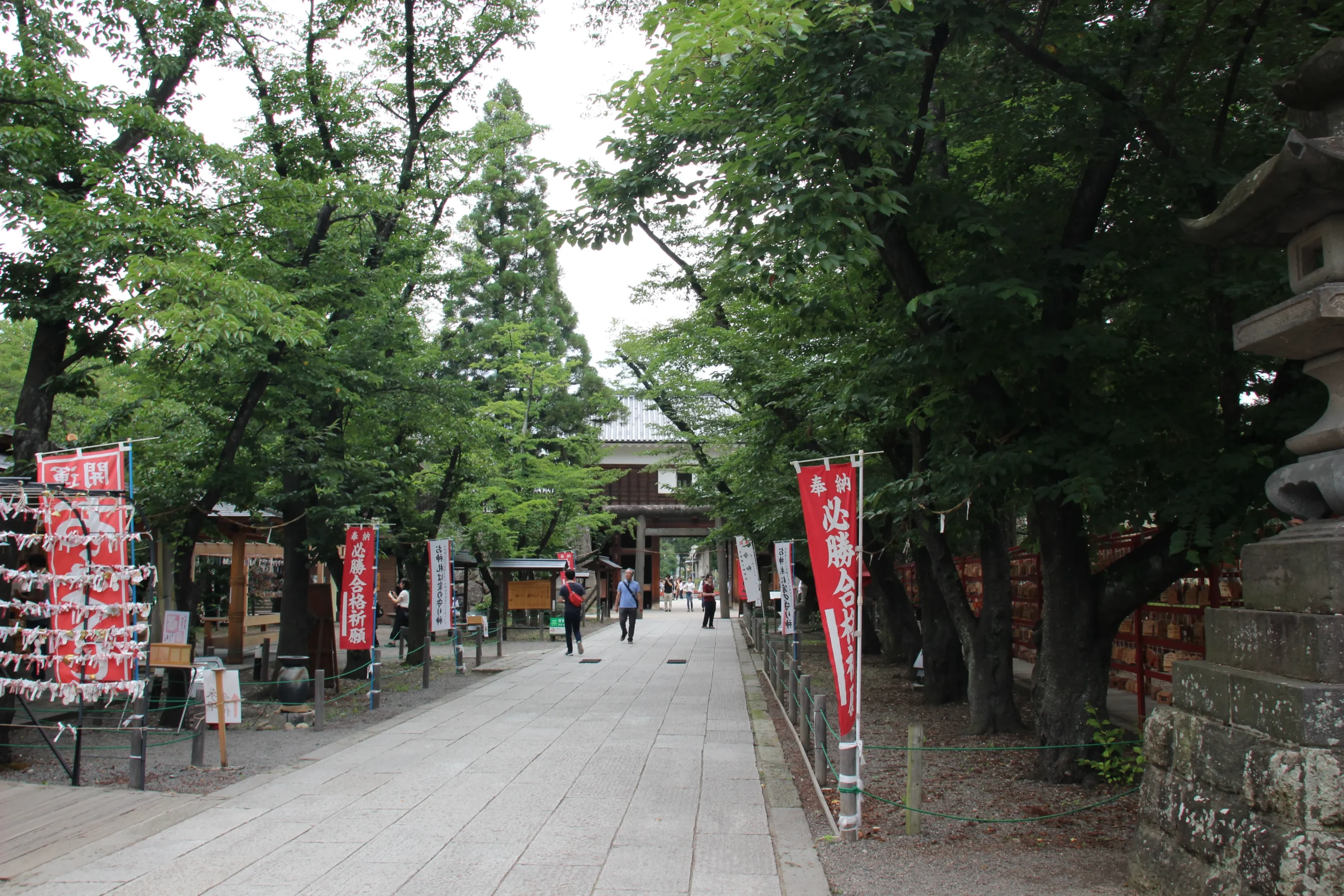 六文銭の赤い上り旗が立ち並ぶ眞田神社の参道と生い茂る木々の境内