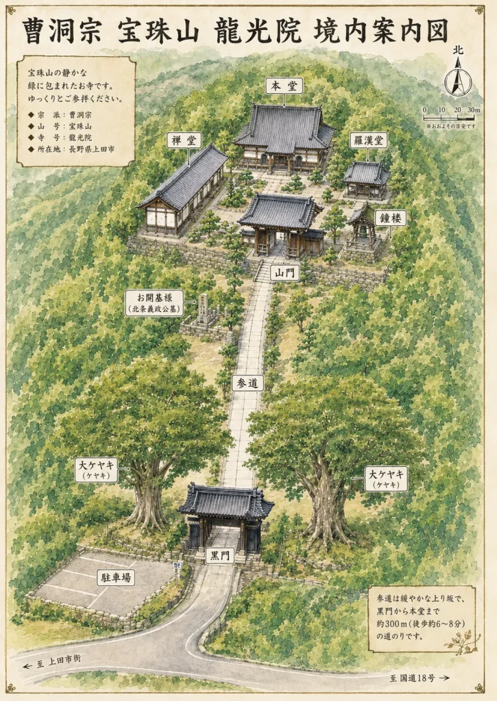 長野県上田市前山の曹洞宗 宝珠山 龍光院を描いた境内案内図。(イメージ図の為、詳細の位置はずれています。)黒門から約300mの参道を登り、山門の奥に本堂、左手に禅堂、右手に羅漢堂が配置され、樹齢約600年の大ケヤキや鐘楼も表現した手描き風水彩イラスト。