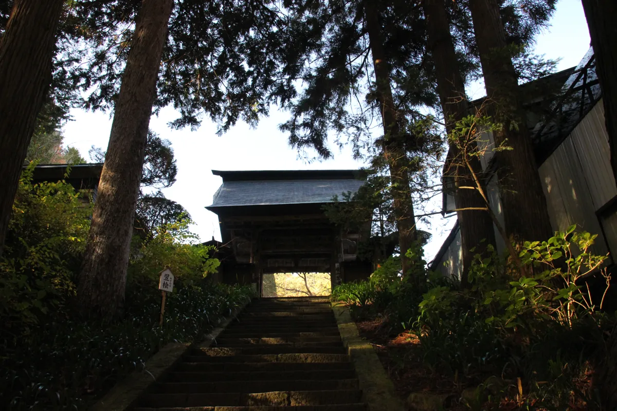 杉並木と石段の先に凛と佇む安楽寺の山門の見上げ景観