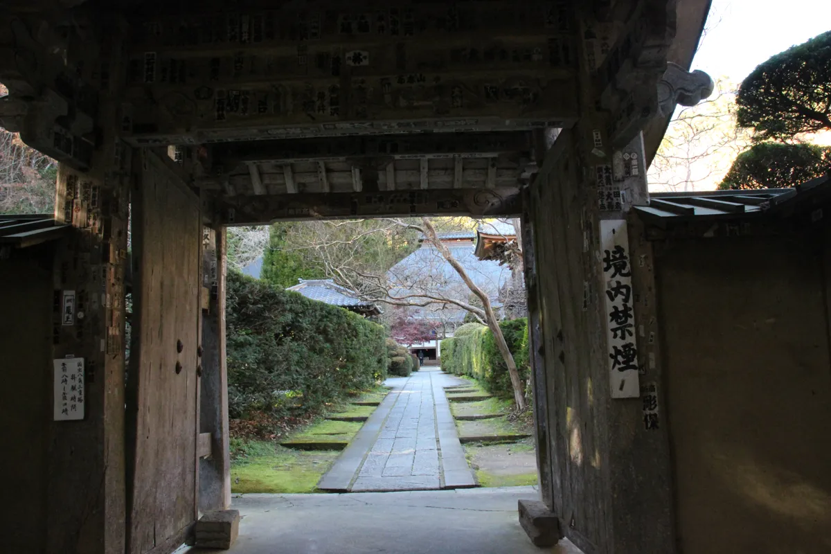 山門の扉越しに望む本堂へと続く石畳の美しい境内景観