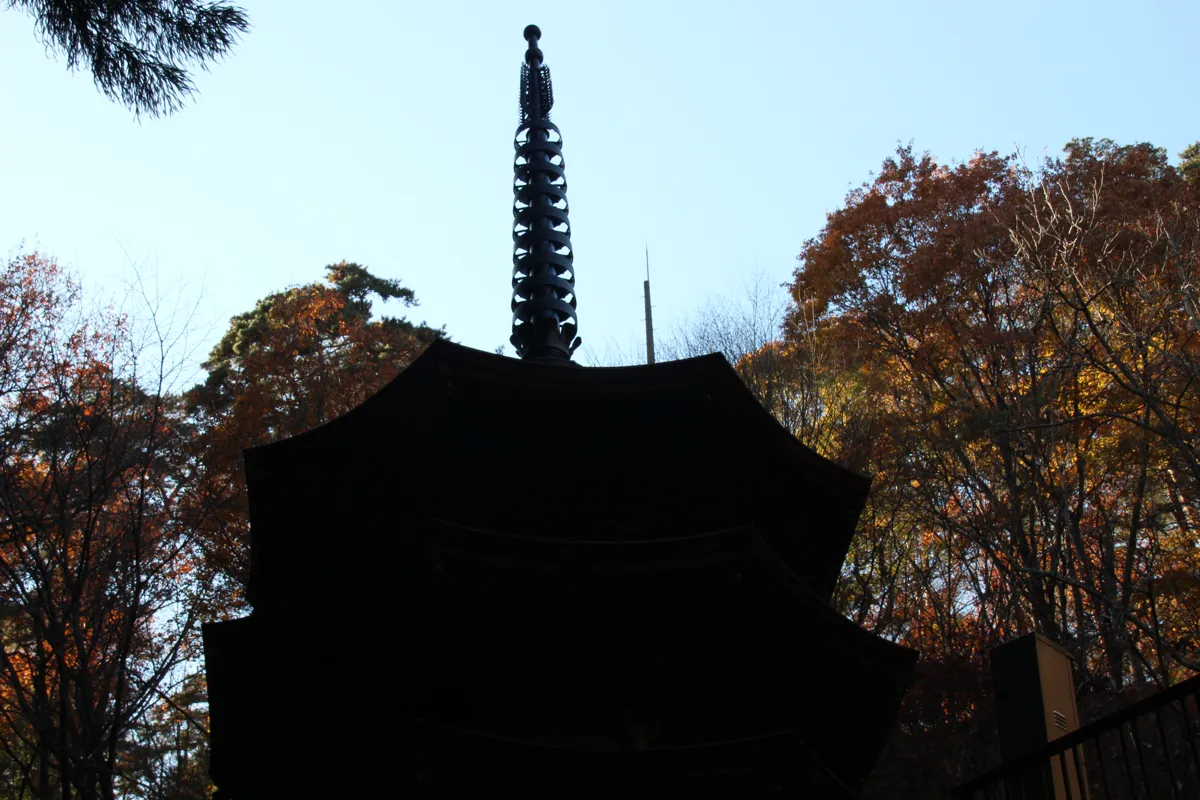 秋の紅葉した木々を背に逆光で浮かび上がる八角三重塔のシルエット