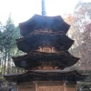 紅葉の山林に囲まれた安楽寺八角三重塔の美しい正面全景