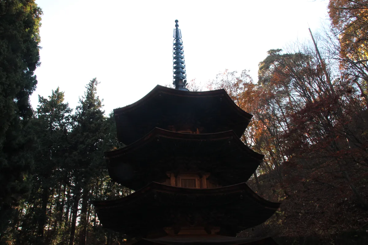 鬱蒼とした木々と秋の紅葉の中に建つ八角三重塔の全景