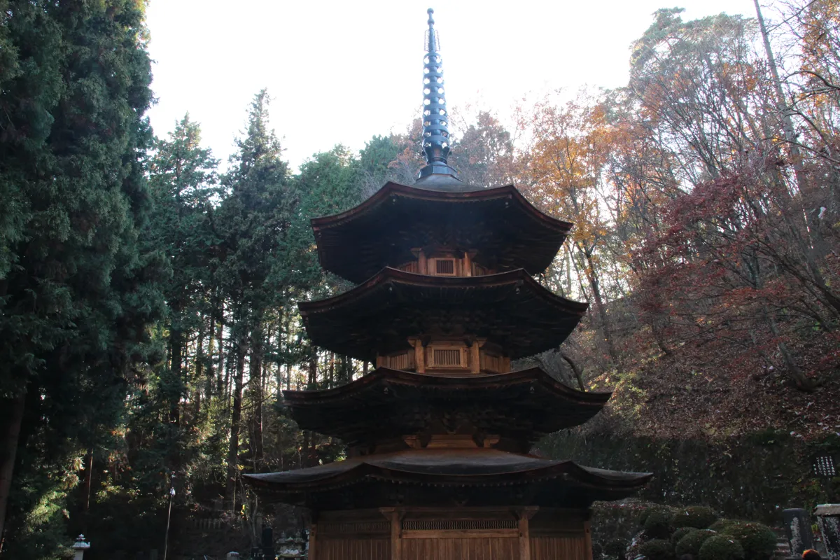 美しい山肌を背にして立つ安楽寺の八角三重塔の斜めアングル全景