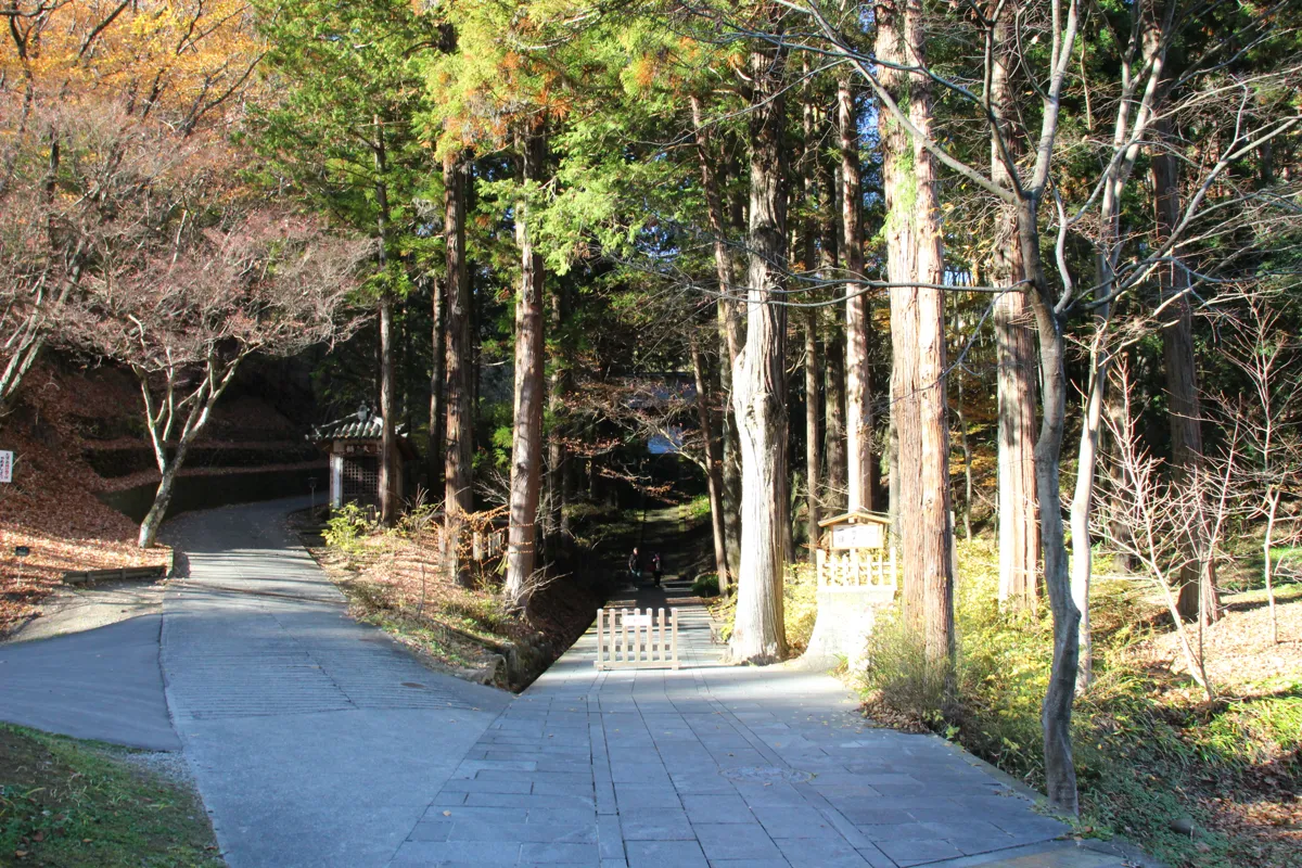 高い杉並木に囲まれた安楽寺の静寂な上り坂の参道