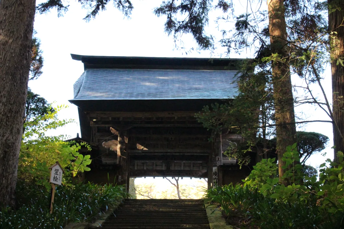 杉の巨木に挟まれた石段の頂上に佇む安楽寺山門の正面全景
