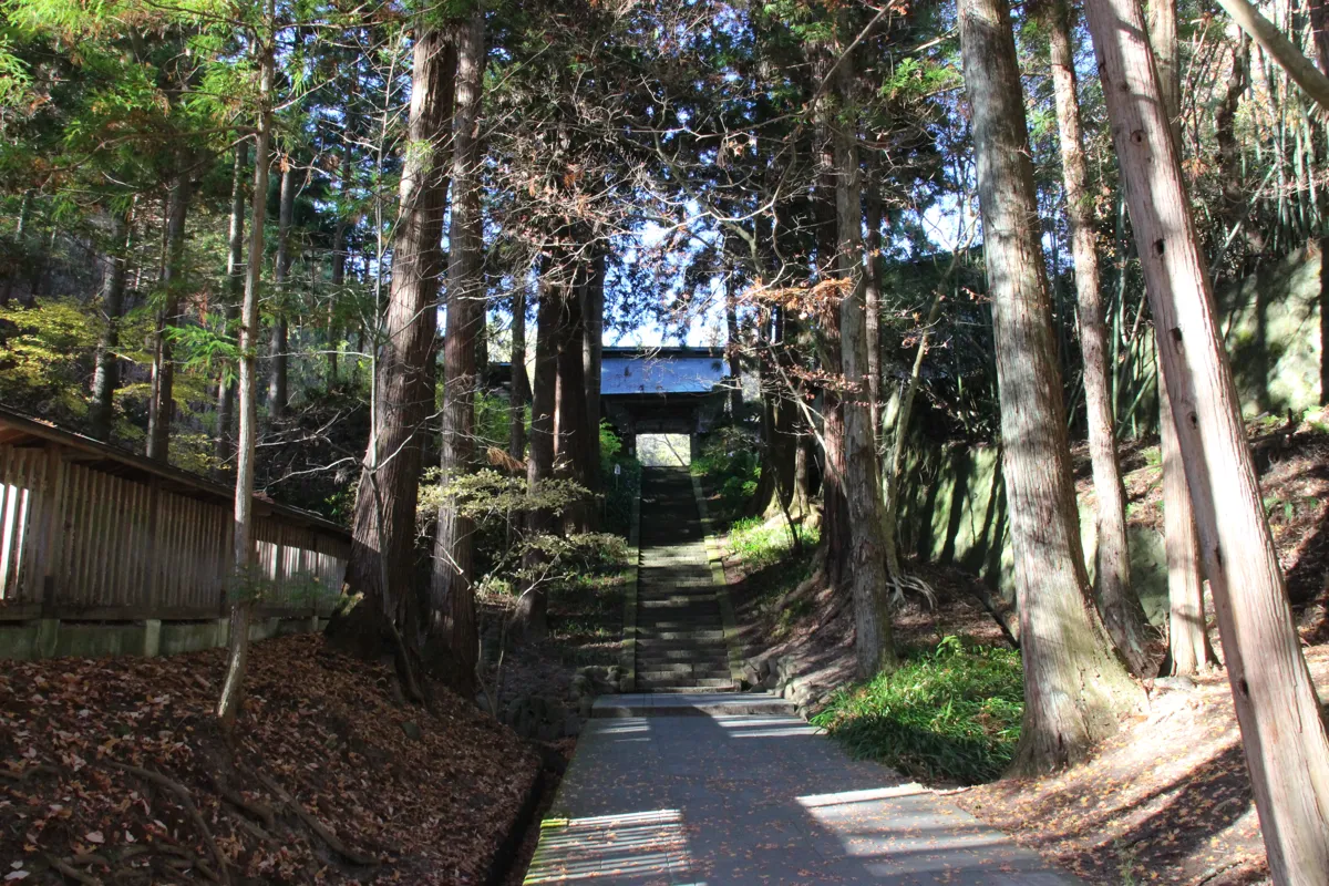 杉林に囲まれた石畳の参道と奥に見える石段および山門
