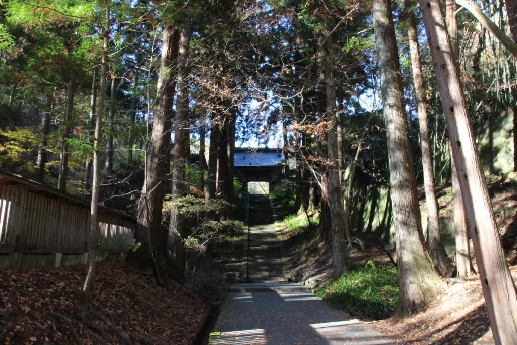 高い木々に挟まれた緩やかな坂道の参道と奥の山門