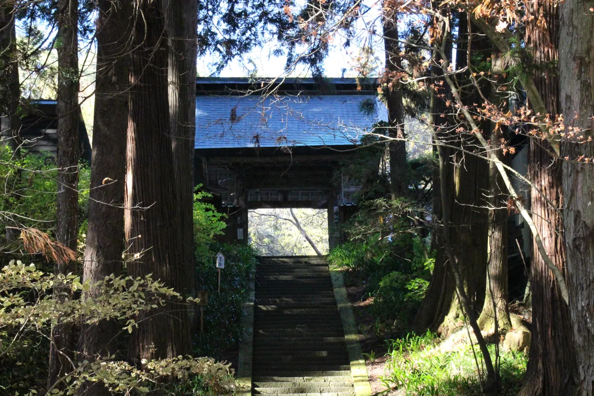 杉木立の奥に佇む安楽寺山門とそこへ続く厳かな石段