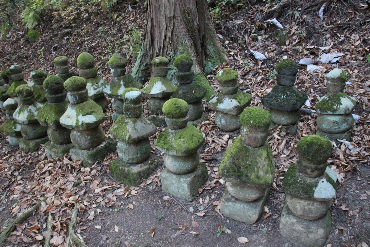 本堂裏手の杉林のなかに静かに並び立つ苔むした石造五輪塔と古い墓標群