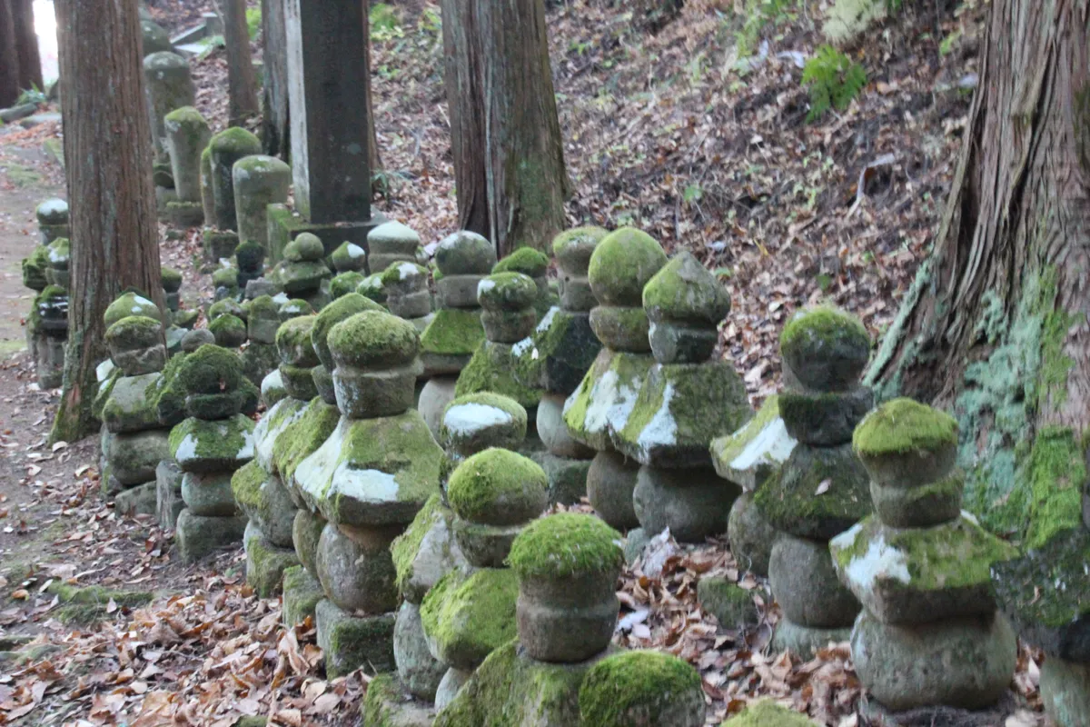 真っ直ぐそびえる杉林の根元に整然と並ぶ無数の石造五輪塔の厳かな景観