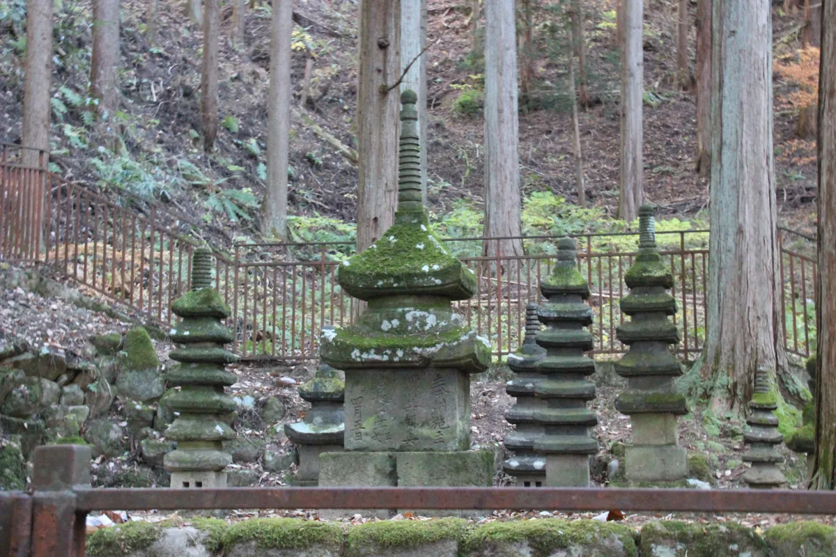 杉木立に囲まれた常楽寺石造多宝塔(重要文化財)と左右の石造多層塔の正面全景