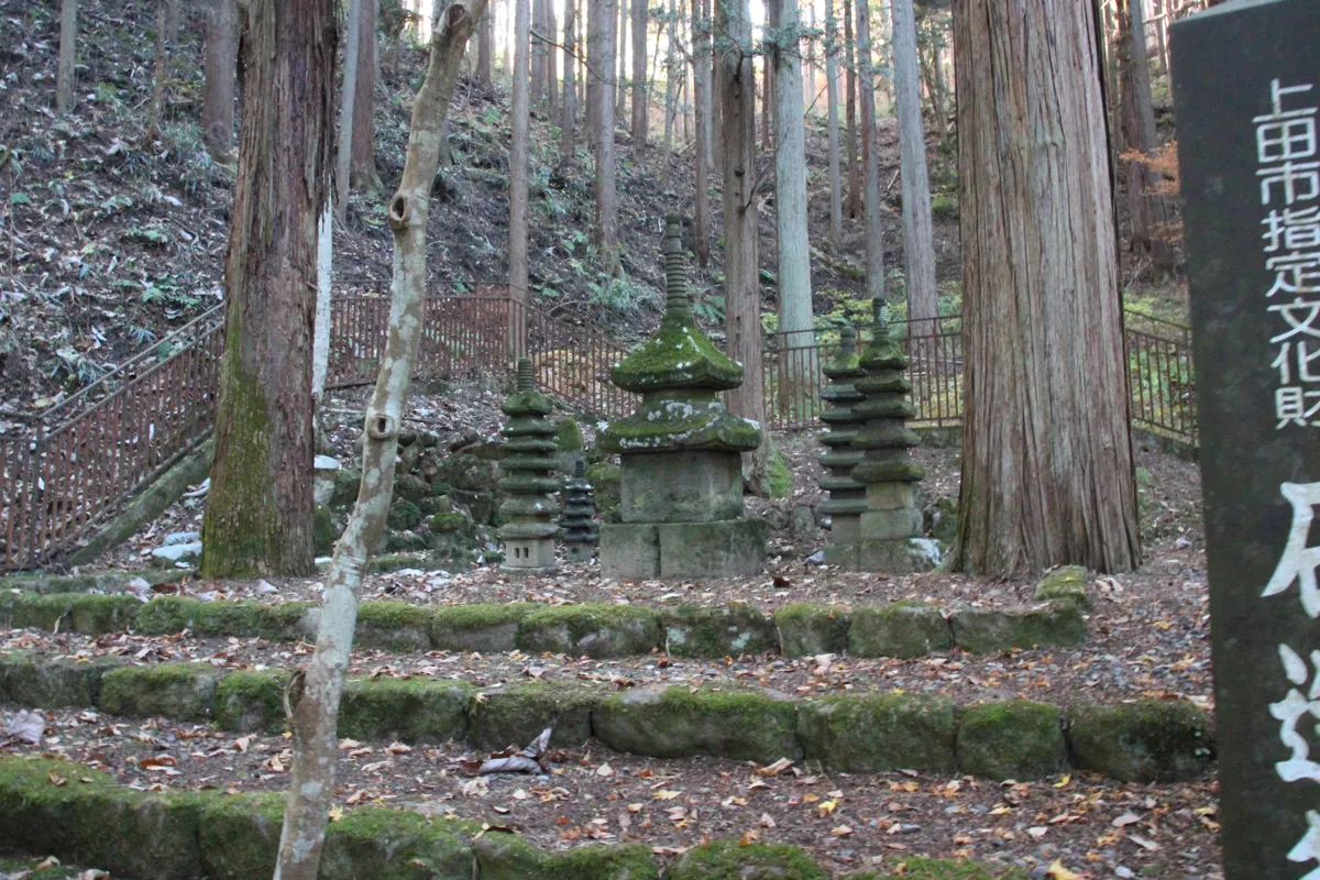 「石造多層塔」の標柱の文字と背後に広がる厳かな杉林の様子