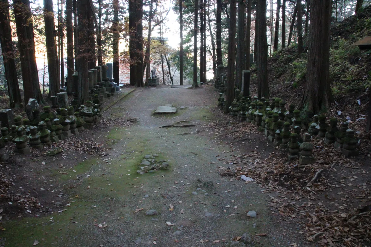 小さな石造塔が両側に並ぶ、石造多宝塔へと続く苔むした厳かな参道