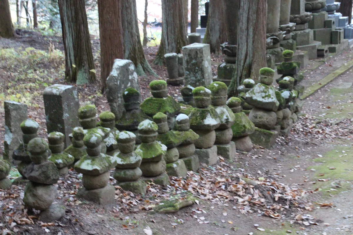 杉の木漏れ日を浴びながら奥へと続く苔むした山腹の参道の景観