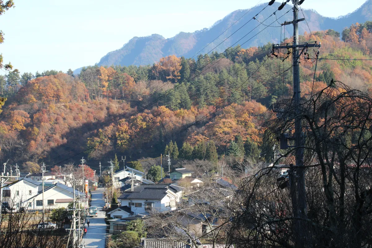 秋の紅葉に染まる山々に囲まれた別所温泉ののどかな住宅と街並みの展望