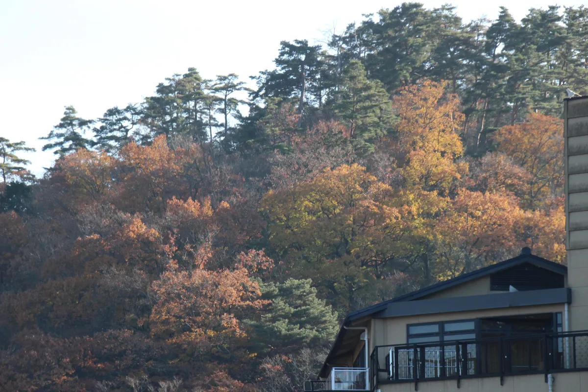 別所温泉街にある近代的な大型旅館の建物と、その横に広がる見事な紅葉・黄葉の里山