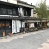 通りの名である柳の緑の枝と、歴史ある岡崎酒造の重厚な蔵造りの建物が調和する美しい通り沿いの光景