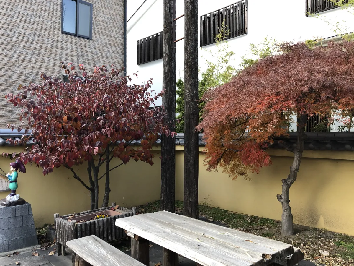 散策途中に休憩できる木製のベンチとテーブル、その背後で赤く色づいた美しい秋の紅葉もみじ